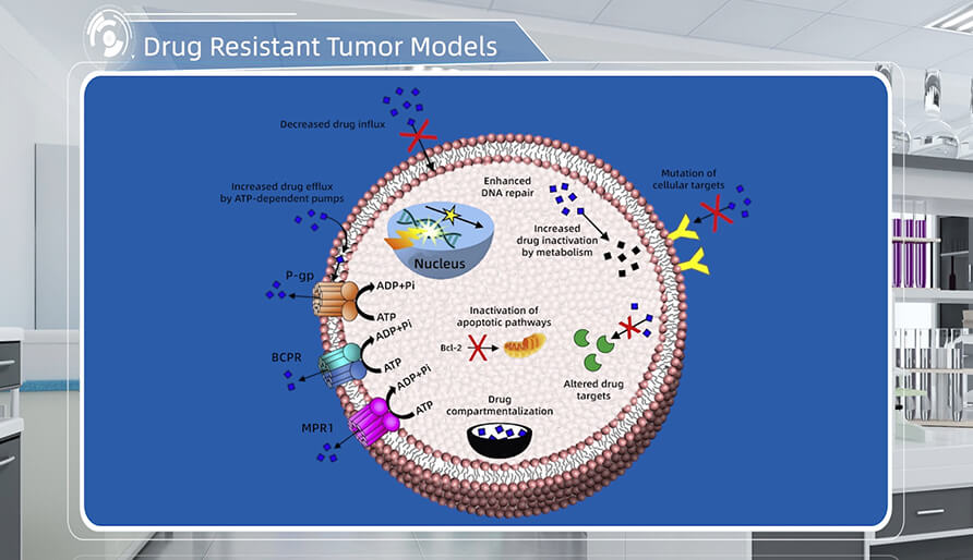 肿瘤耐药机制是什么？