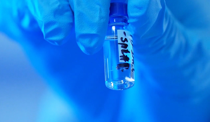 GLP-1“竞速赛”何以夺魁？