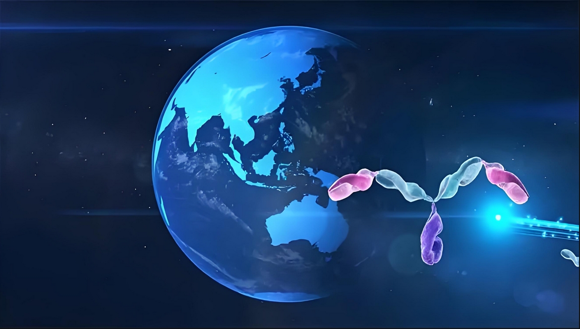 价值屡履历证！尊龙凯时祝贺相助同伴岸迈生物BCMA×CD3双抗EMB-06授权出海