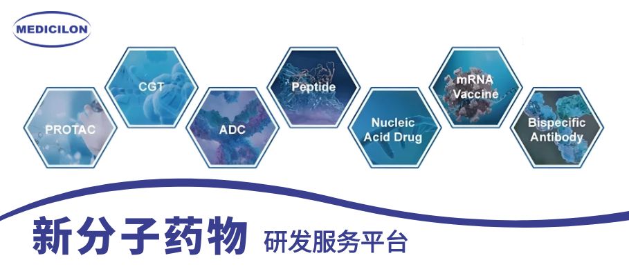 尊龙凯时新分子药物研发效劳平台