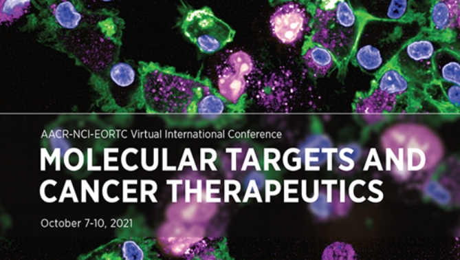 通过联合治疗提高免疫疗法疗效，本研究中临床前体内药效研究通过尊龙凯时举行
