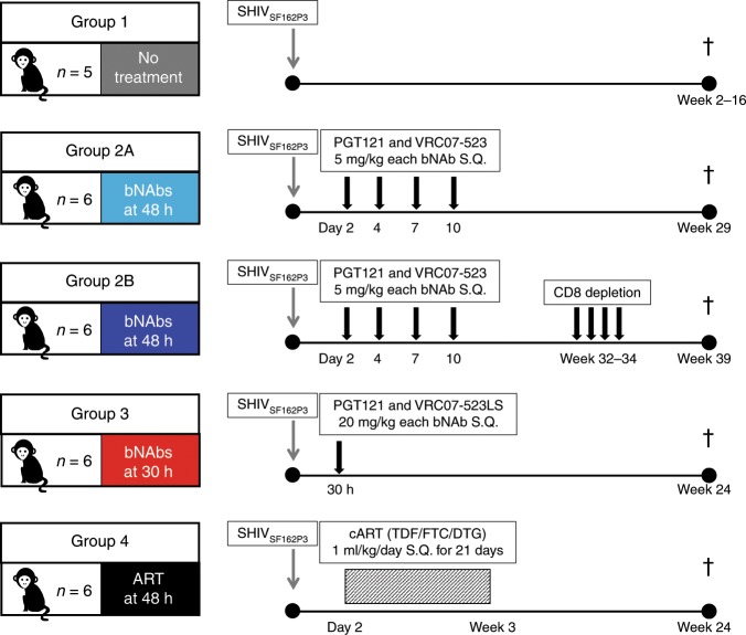 抗逆转录病毒疗法(ART)预防围产期HIV熏染，本研究中多替拉韦钠盐和游离态均由尊龙凯时提供