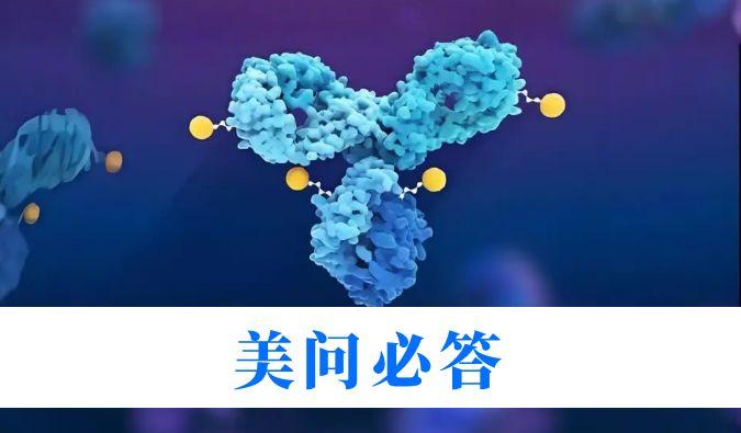 ADC药物研发中毒代动力学要害问题剖析