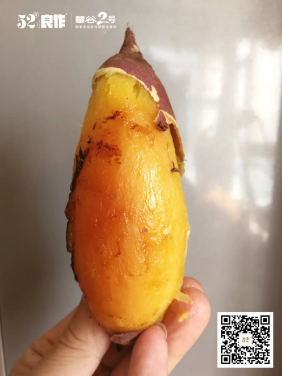 2121�Ƿ���(�й���)�����ٷ���վ